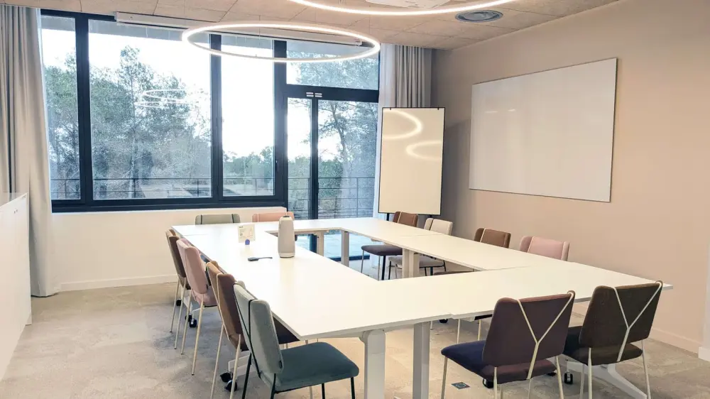 Salle de réunion Etain · Newton Offices Sophia Antipolis