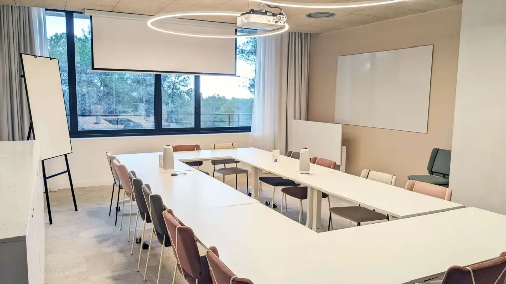 Salle de réunion Bronze · Newton Offices Sophia Antipolis