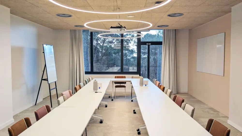 Salle de réunion Argent · Newton Offices Sophia Antipolis