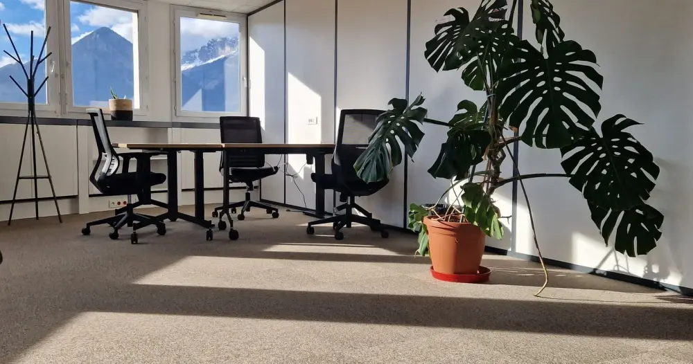 Open space · Pousse Locale